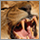 Lionshare Communications website